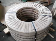 Hymu80 (Mumetal) Soft Magnetic Alloy with High Initial Permeability Small MOQ Fast Delivery